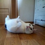 [용배꾸르밍] <b>대두</b>김용배의 오무니 나불러떠?