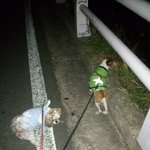[달덩이네] 달군이의 임보일기 6