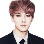 [EXO] <b>증사</b>모으는사람들