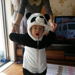 <b>팬더</b>곰탈출