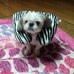 [블락비] 나도사공!