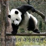 [하고싶은말] 11월6일고백<b>데이</b>