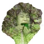 [블락비] 우지호<b>상추</b>에싸먹을꺼야 !