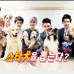 [EXO] 엑소 슈퍼독 