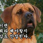 [EXO] 엑소<b>번호</b>