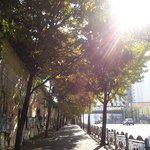 [나홀로] 나홀로 전주여행!!!