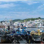 혼자 떠난 비진도 당일여행