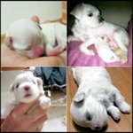 (사진 有) boo`s <b>story</b>..2탄!