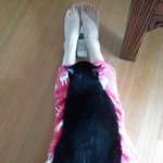 [검은고양이] <b>네로</b>이야기.2