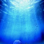 있는 뮤지엄! 수중 조각가 Jason <b>de</b> Caires Taylor