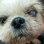 [내사랑요키] <b>fact</b>님 그리고 리아 걱정해주신 많은 분께 감사드려요...