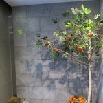 혼자서 떠난 제주 여행^^