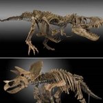 30억 원 공룡 캐낸 농부, 땅 <b>파다</b> 발견한 '대박' "7천만년...