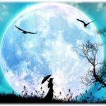 하루일기..(남이)