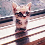 참을 수가 없어요!  자랑하고 싶어서 ㅜ