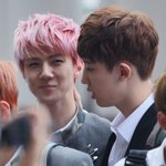 [EXO] 세훈이 볼에 방울토마토 물고 있는 거같애ㅋㅋㅋ 