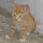 [삼솔주니어] 올 겨울이 오기전에