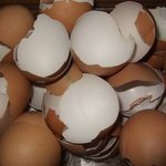 내가 해 본 각양각색의 다이어트, 다이어트 이렇게 하면 안되요