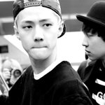 [EXO] 최근 세훈의 귀여운 공항짤들