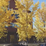 원주 <b>연세</b>대학교 캠퍼스 -가을-