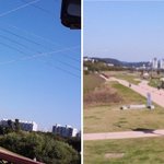 온몸으로가을을느낀,대전 유성구 <b>유림</b>공원 국화향기:d