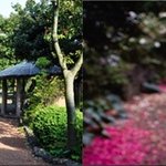 제주도에서 <b>새해</b>를 맞으면 좋을 것 같아요
