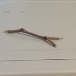 [스물넷오솔] 당신을 웃게 만들 우리집이야기 22.