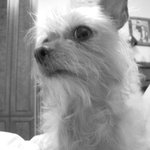 [쿵꿍] 내 주변의 신기한 이야기들 - 2