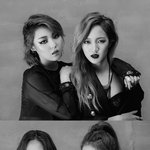 [수지] 수지?수퀴?