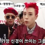 [EXO] 블락비가 말한 엑소 (사진유)
