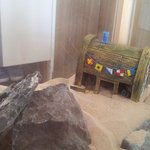 [게코판] (+추가~ 감사합니다.) 매력만점 파충류