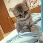 옴뮤쮸쮸~ 우리 <b>메리</b>찡.