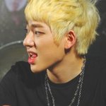 [블락비] 우지코보다 코큰아이돌이있다뉘