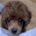 [빛나는별] 반짝반짝빛나는 별 이야기