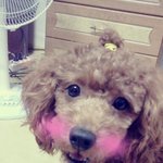[빛나는<b>별</b>] 반짝반짝빛나는 <b>별</b> <b>이야기</b> 2