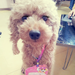 [빛나는<b>별</b>] 반짝반짝빛나는 <b>별</b> <b>이야기</b> 3
