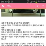 [인피니트] 성규가 1위를 해도 울지 않는 이유. 