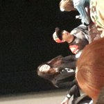 [<b>b1a4</b>] 비원에이포 울산팬싸