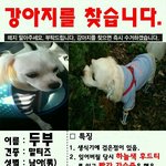 두부를 찾습니다...성남<b>시민</b>회관 태평2동