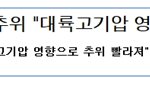 프로스펙스 스페셜 에디션 yuna14 다운 <b>재킷</b>이 나왔네요! ^^