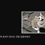 [유봉이네] <b>sbs</b>에서 유봉이 나왔습니다!(유봉이네)