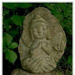 대단한 <b>족보</b>