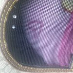 *귀<b>염주</b>의* 범상치않은 녀석