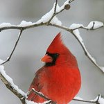 "나"하면 척 뭐가 생각<b>나세</b>요?