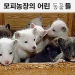 <b>동물</b>을 사지 마세요.