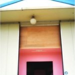 <b>천안시</b> 보호소에 들어온 가여운 강아지들과 냥이들에게 따스한 사랑과...