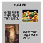인체의 <b>신비</b>.jpg