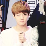 [EXO] 세훈이의 새로운 버릇