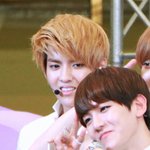 [EXO] 백현<b>애교</b>에대한 멤버들의반응