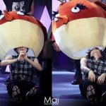 [exo] 새한테 맞은 <b>조니</b>니